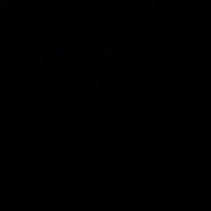 Meet your Posher, Jaylin